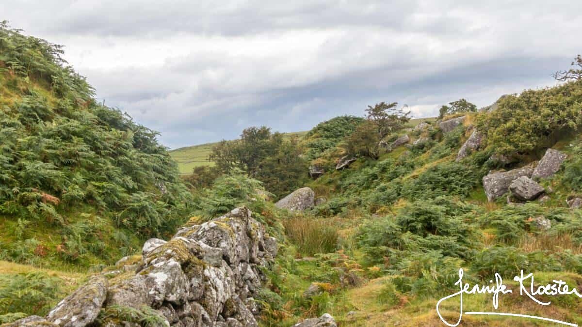 Bodmin Moor, Cornwall