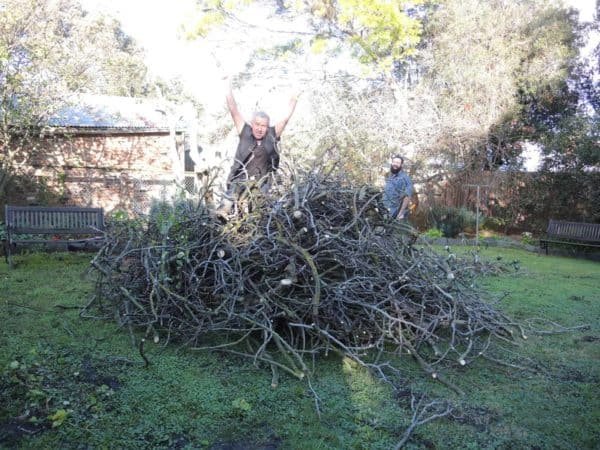 Aido - a new friend and an amazing gardener.
