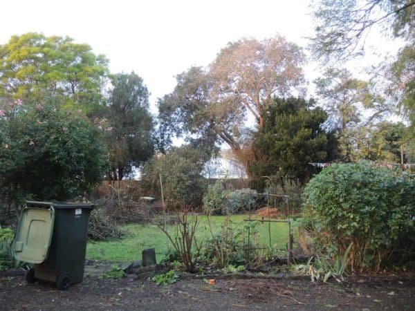 A big daunting challenge of a garden