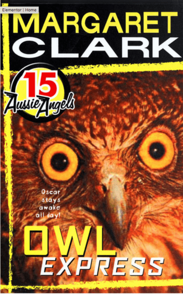 AA 15 Owl Express by Margaret Clark